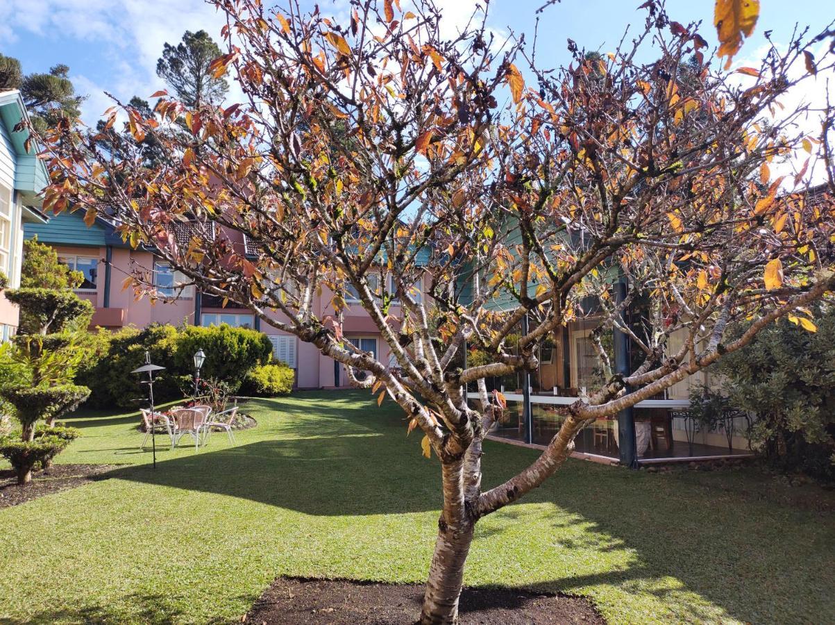 Agradavel Apt 2Quartos Para Familia Prox Ao Lago Negro - 4 Min Do Centro- Com Churrasqueira Грамаду Екстериор снимка